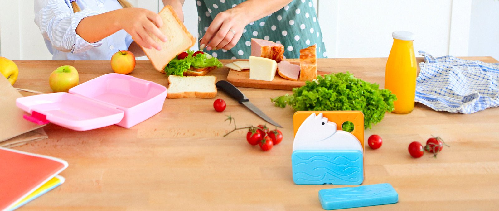 Reusable Ice Packs Collection - Lunch & Picnic | Monkey Business