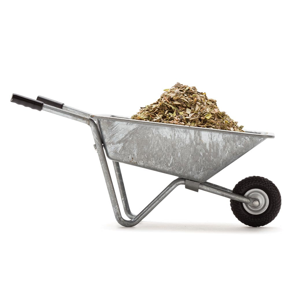 SPICEBARROW | Salt holder - - Monkey Business USA