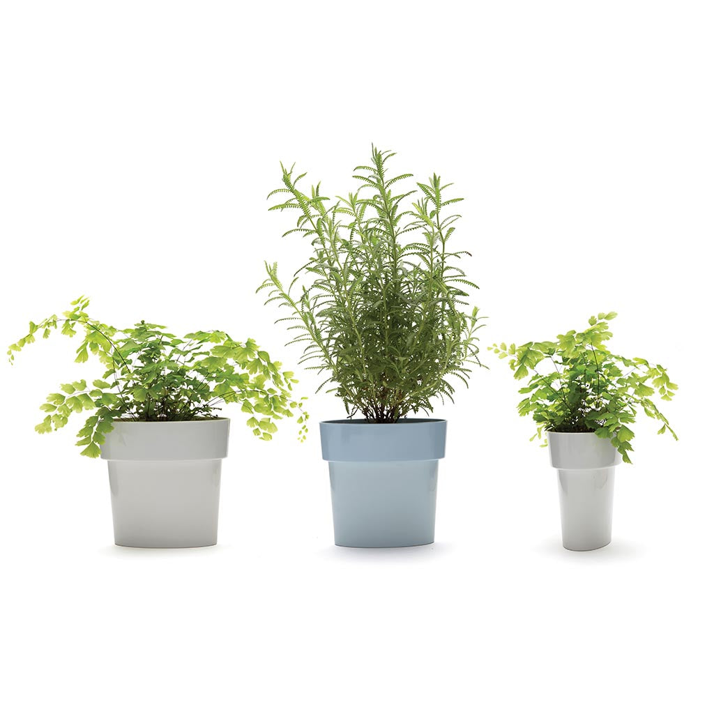SLIM FLOWER POT | Small plants in tight spaces - - Monkey Business USA