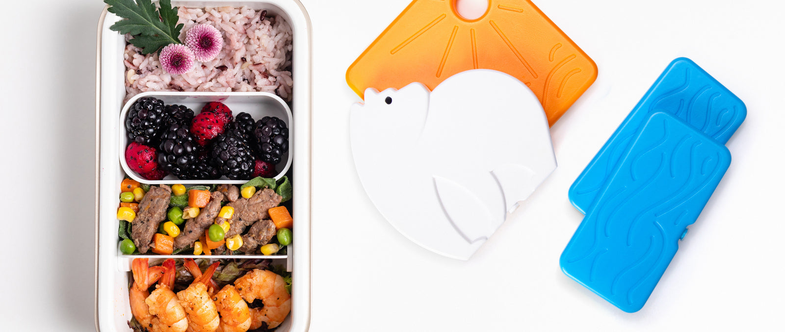 The funniest lunchbox ice packs for kids this Christmas