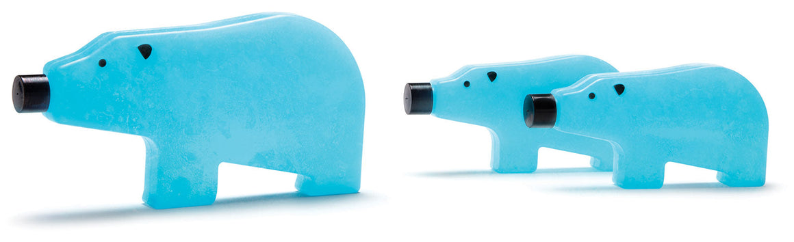 Cool reusable ice packs for coolers, lunch boxes and injuries