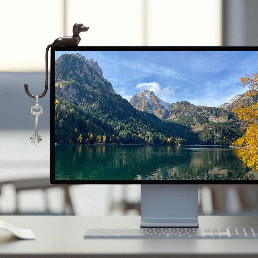 Dog Hook with adhesive to screen  for headphones and keys and more -  Monkey Business