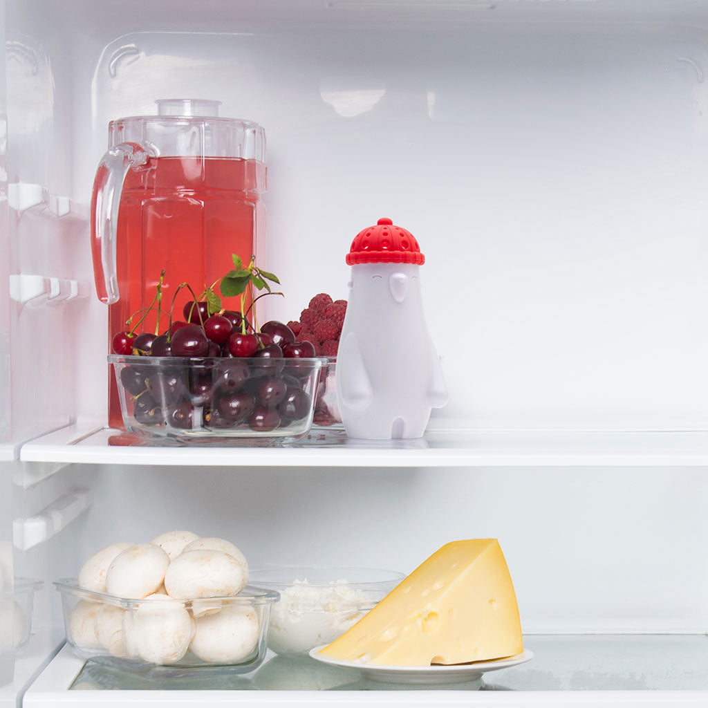 fill your Bear phil with baking soda refrigerator deodorizer