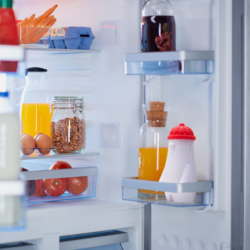 put your fill phil baking soda refrigerator deodorizer by Monkey Business