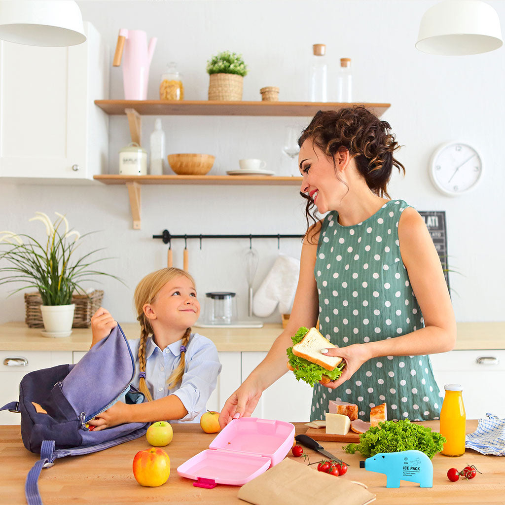 Blue Bear Cub reusable ice pack – for lunch or travel