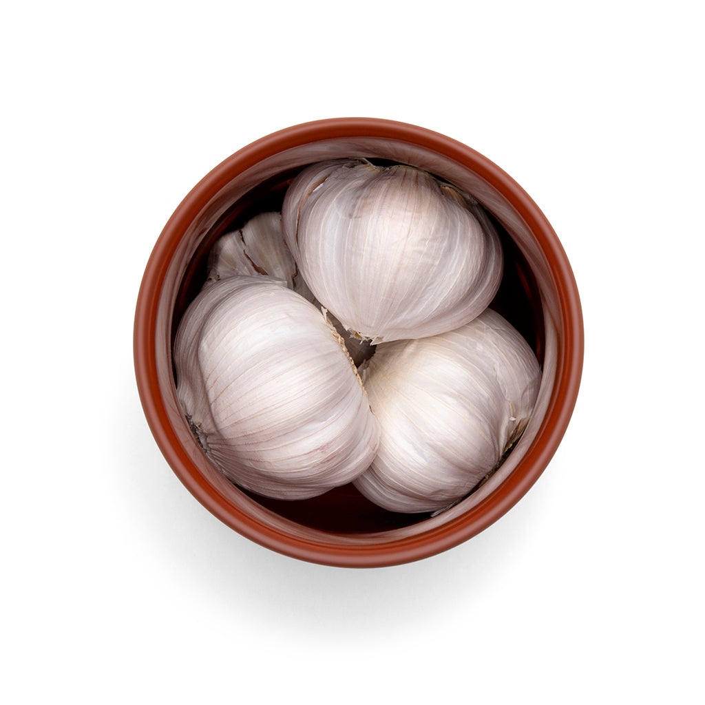 heads and cloves container for storing garlic