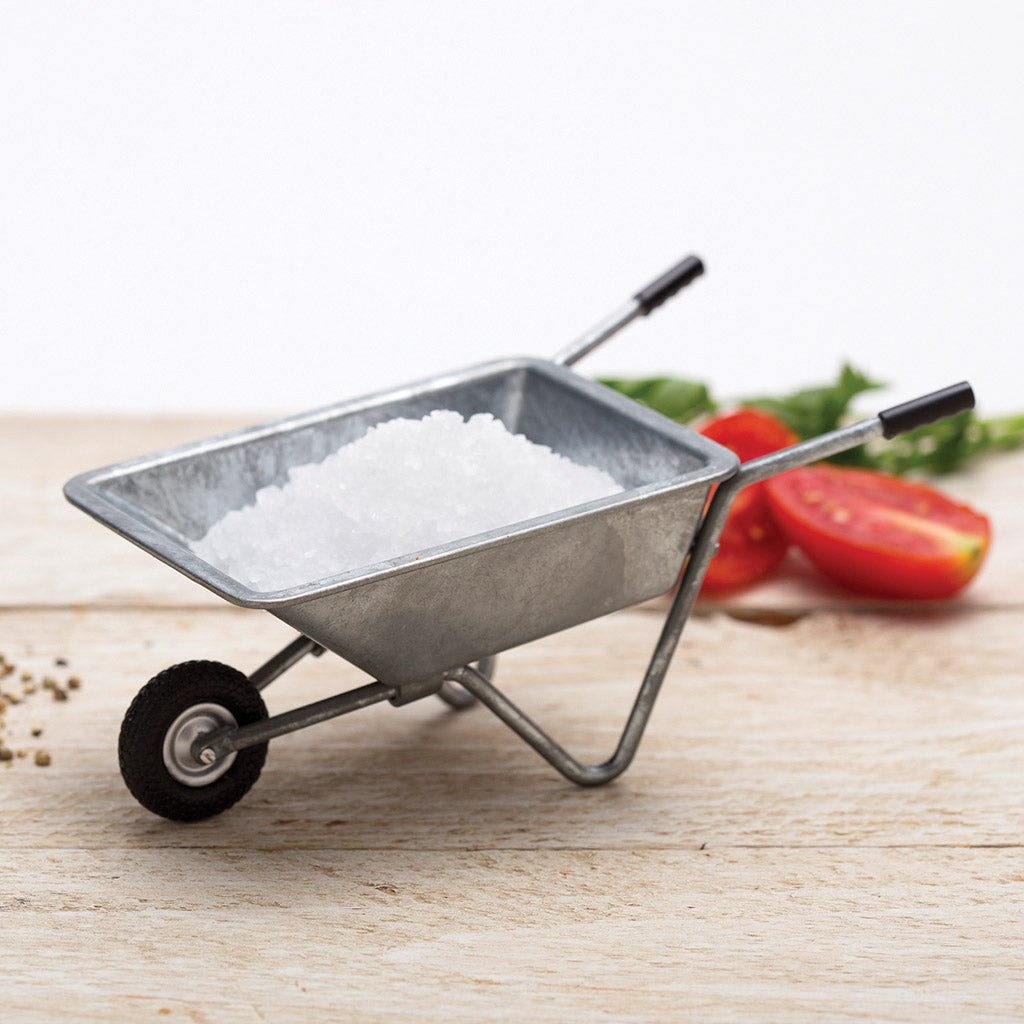 SPICEBARROW | Salt holder -  - Monkey Business USA