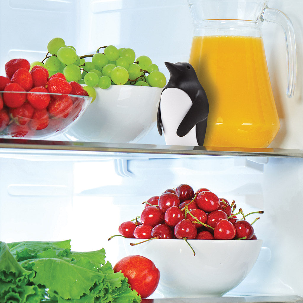 CHILL BILL | Fridge deodorizer - Deodorant & Anti-Perspirant - JUST ADD BAKING Soda Monkey Business - gift pack