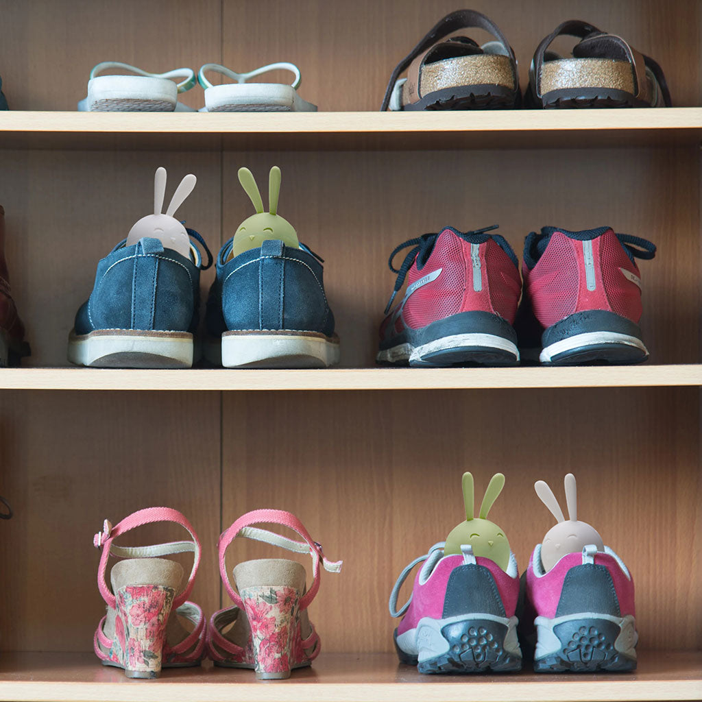 Sneaker accessories that keep shoes smelling fresh