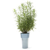 SLIM FLOWER POT | Small plants in tight spaces -  - Monkey Business USA