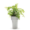 SLIM FLOWER POT | Small plants in tight spaces -  - Monkey Business USA