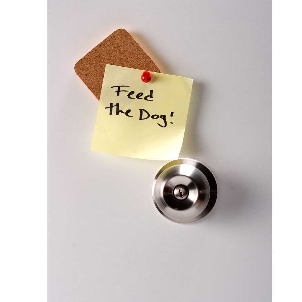 MINI MESSAGE BOARDS | Cork note holder - Monkey Business USA