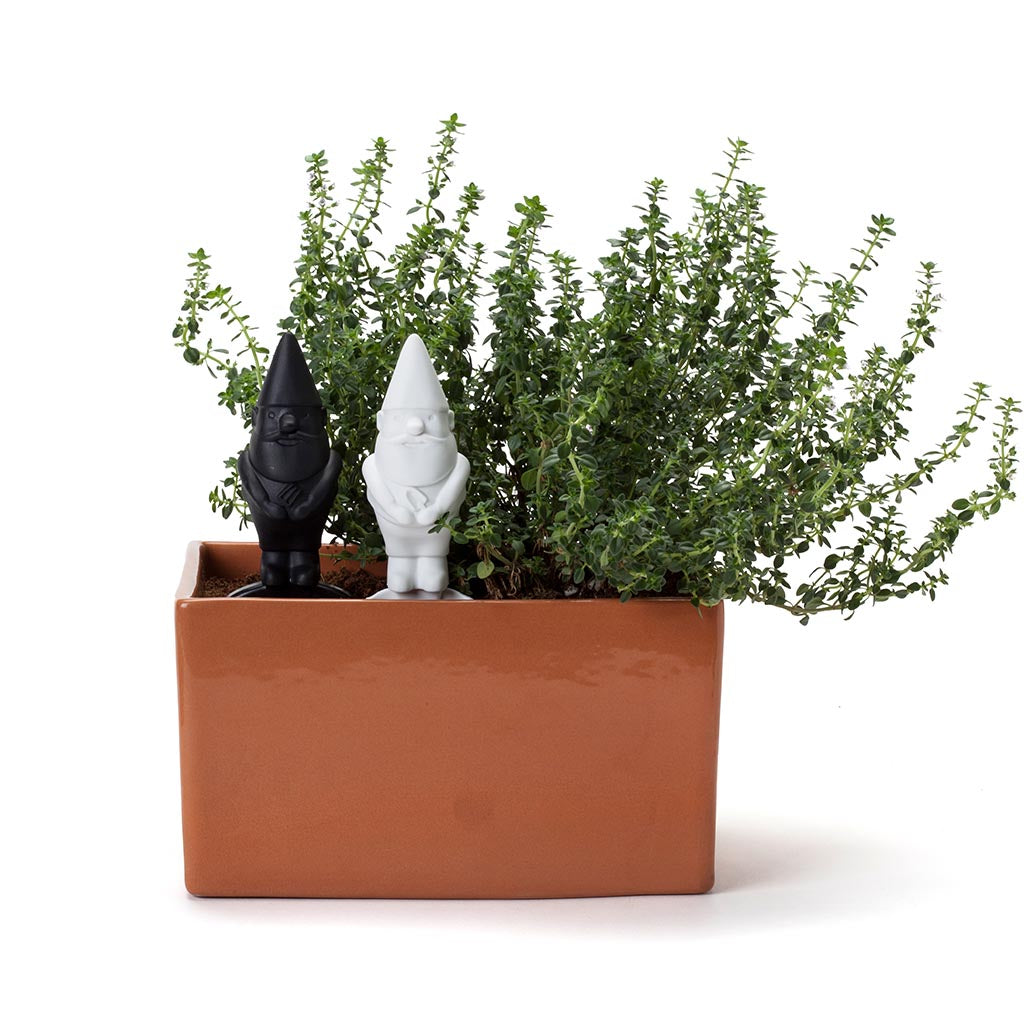 HERBERTS | Gardening companions - Monkey Business USA