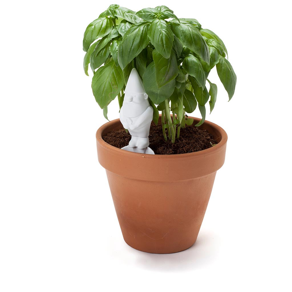 HERBERTS | Gardening companions - Monkey Business USA